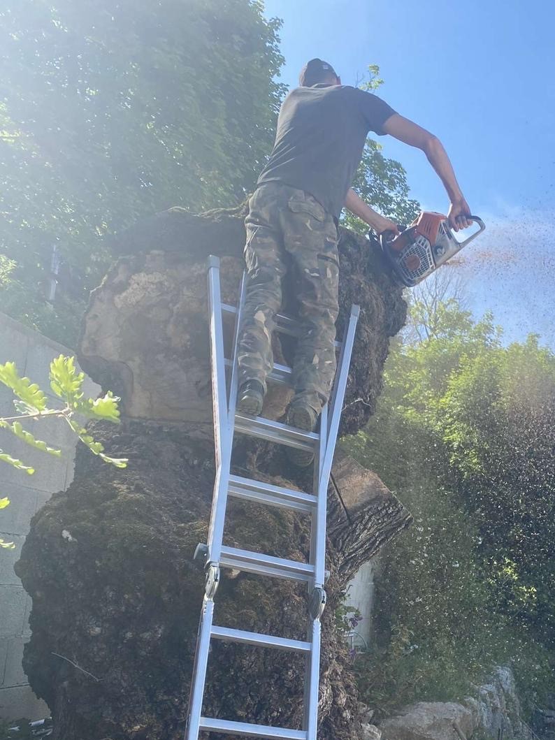 Élagage et Abattage